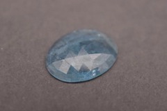 aqua-rose-opt-696x464